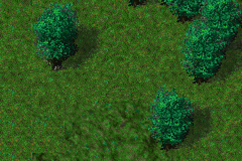 Original grass and healthy leaf trees at the same close Greenhaven camera